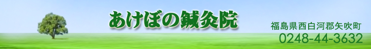 あけぼの鍼灸院(福島県矢吹町)鍼灸・カイロプラクティック 鍼灸治療の効果